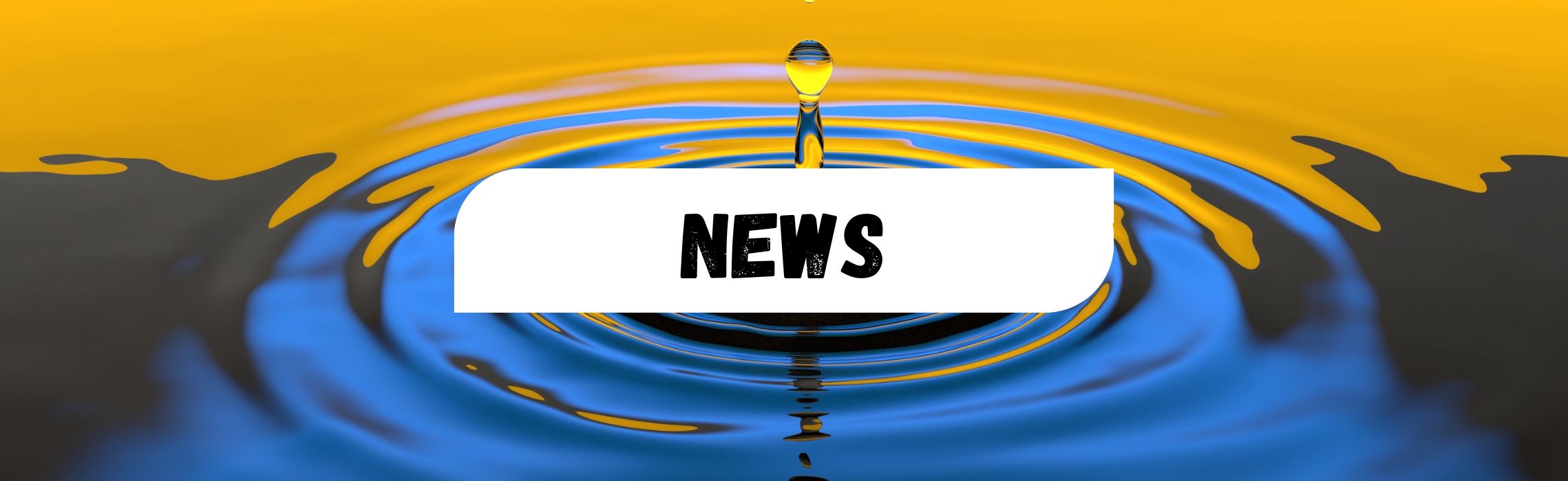 Lire la suite à propos de l’article Nouveau professeur avec Brevet Fédéral